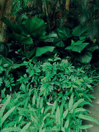 Beautiful of green tropical leavesの写真素材