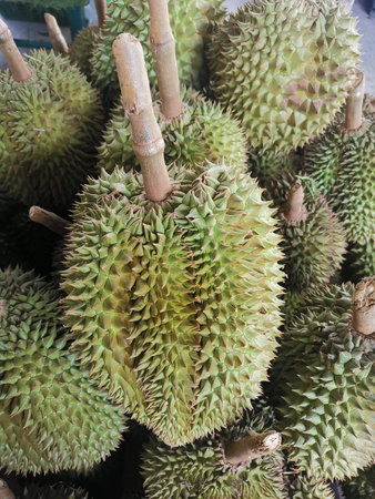 Close up of durian tropical fruit