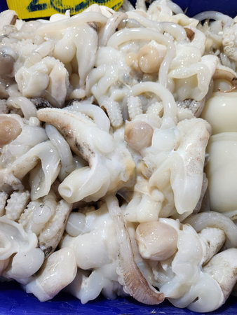 Close up of fresh squid seafood