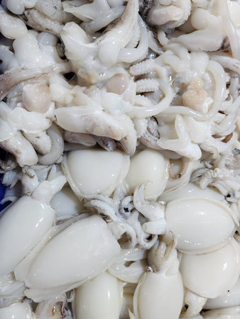 Close up of fresh squid seafoodの写真素材