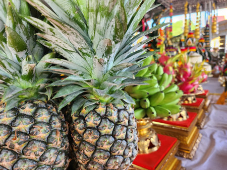 Close up of pineapple tropical fruitの写真素材