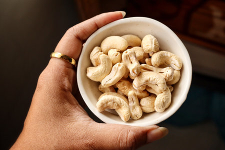 Cashew nut seed snack fruitの写真素材