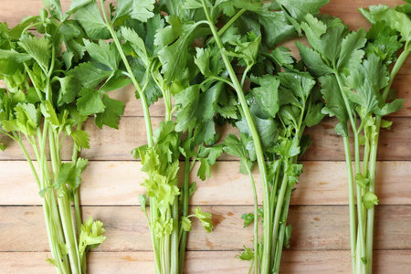 Celery vegetable on wood backgroundの写真素材