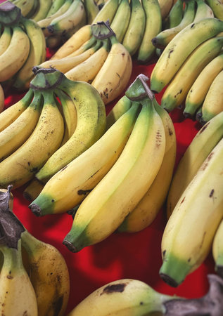 Banana tropical fruit on red backgroundの写真素材
