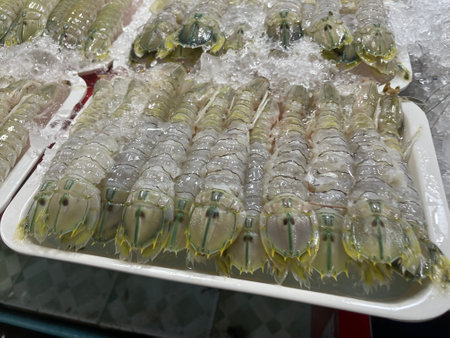 Fresh shrimp in the Thai marketの写真素材