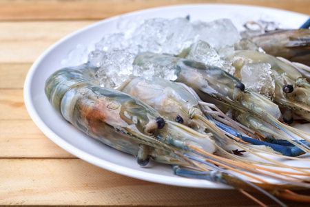 Raw fresh shrimp on a plateの写真素材