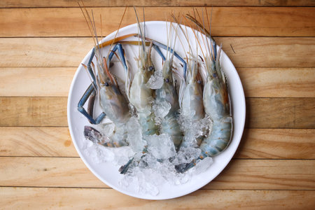 Raw fresh shrimp on a plateの写真素材