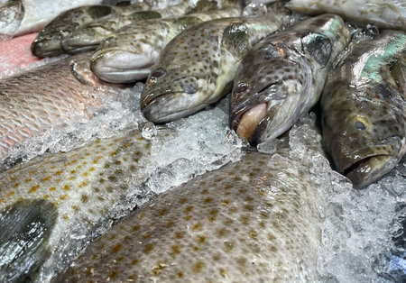 Sea fish in the market Thailand