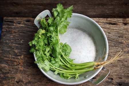 Close up of coriander spice herbの写真素材