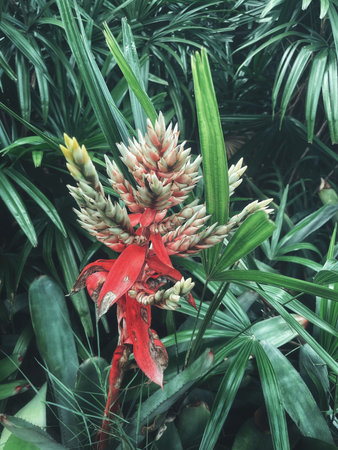 Beautiful green tropical leaves plant background or texture