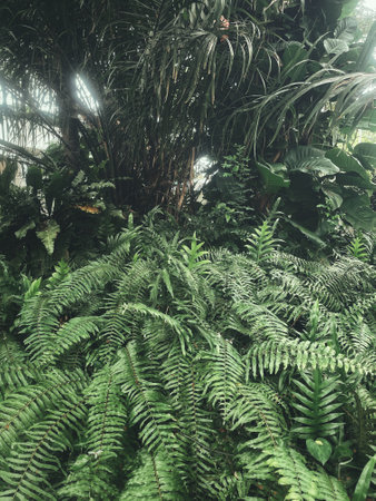 Beautiful of green tropical leaves plant background or textureの写真素材