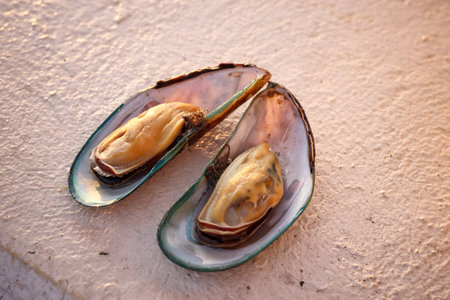 Close up of mussels seafood