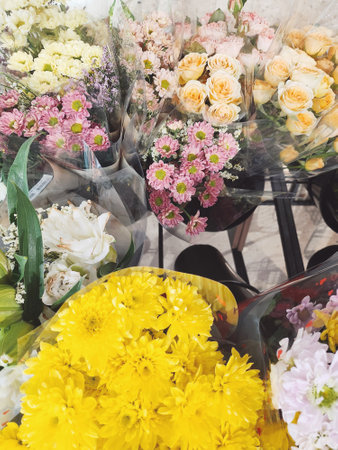 Beautiful of yellow chrysanthemum flowerの写真素材