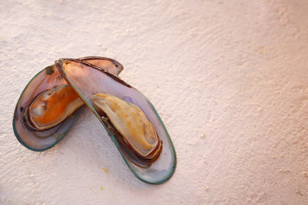 Close up of mussels seafood