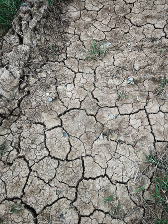 Eco cracked dry ground textureの写真素材