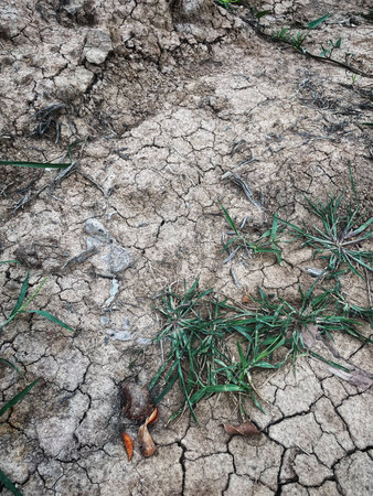 Eco cracked dry ground textureの写真素材