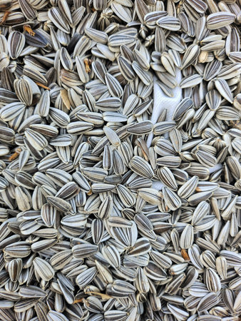 Close up of sunflower seedsの写真素材