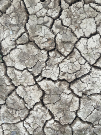Eco cracked dry ground textureの写真素材
