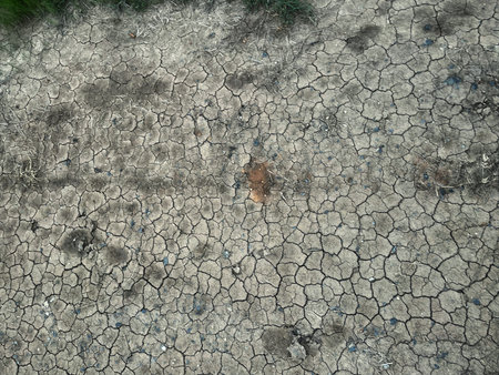 Eco cracked dry ground textureの写真素材