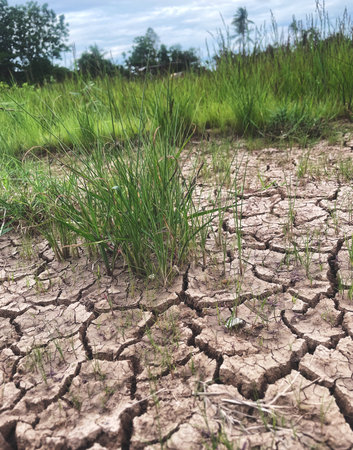 Eco cracked dry ground textureの写真素材