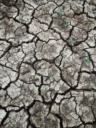 Eco cracked dry ground textureの写真素材
