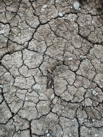 Eco cracked dry ground textureの写真素材