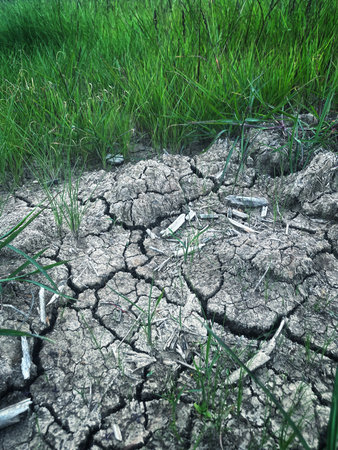 Eco cracked dry ground textureの写真素材