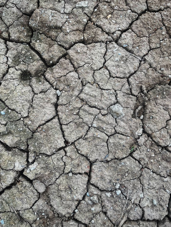 Eco cracked dry ground textureの写真素材