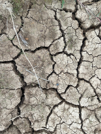 Eco cracked dry ground textureの写真素材