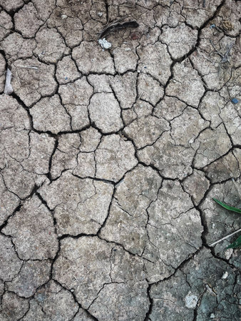 Eco cracked dry ground textureの写真素材