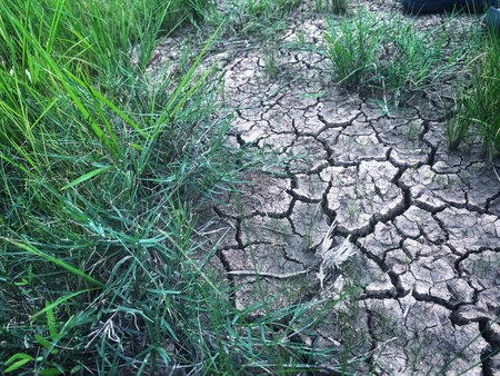 Eco cracked dry ground textureの写真素材