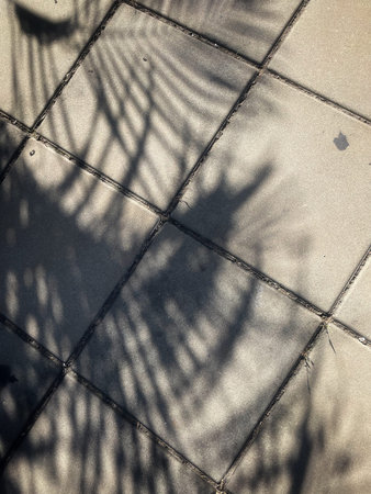 Shadow of leaves on gray background