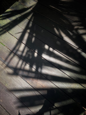 Leaf shadow on wooden floor