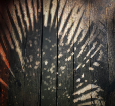 Leaf shadow on wooden floor