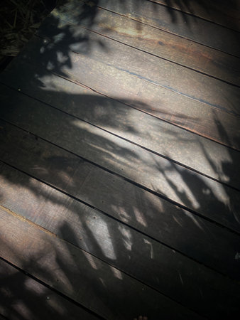 Leaf shadow on wooden floor