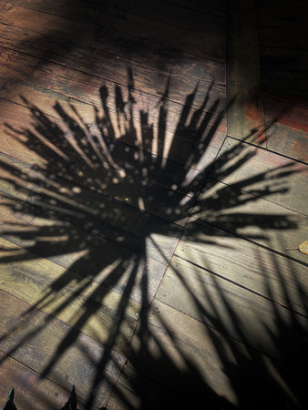 Leaf shadow on wooden floorの写真素材