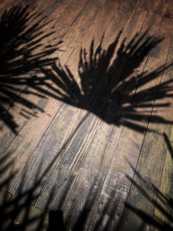 Leaf shadow on wooden floor
