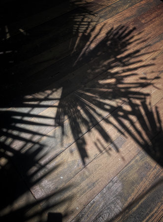 Leaf shadow on wooden floorの写真素材