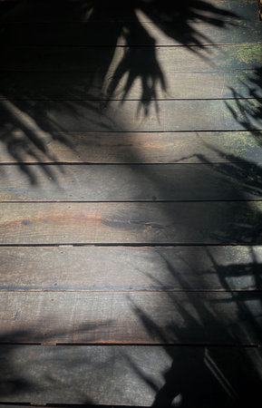 Leaf shadow on wooden floor