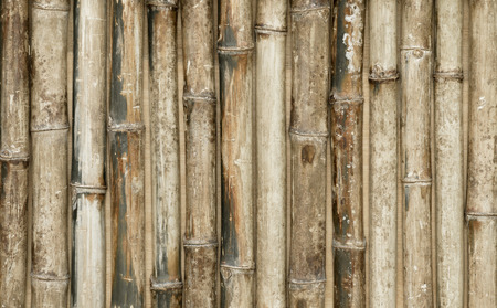 bamboo fence backgroundの写真素材