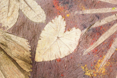 marks of leaf on the concrete pavement.の写真素材