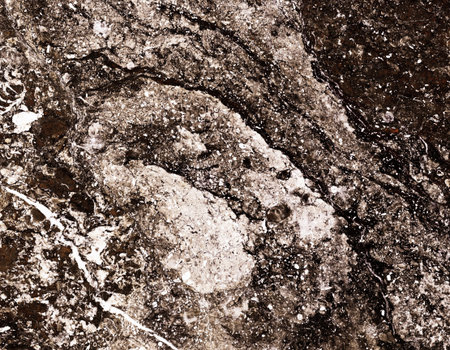 High resolution of gray marble