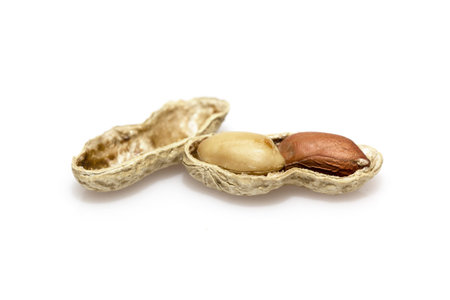 Peanut isolated on white background.