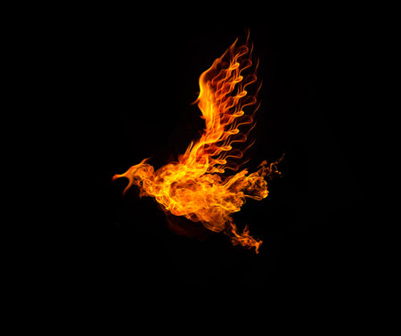 fire bird phoenix burning on black background.の写真素材
