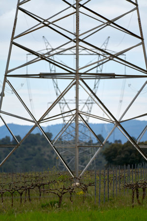 large high voltage towers surrounded by fields with green wheat plantations and natural forest with a cloudless skyの写真素材