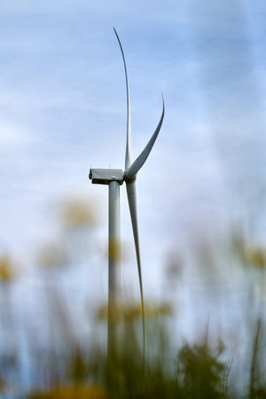 Beautiful image with flowers in the field with ecological windmills to generate electricity in a...