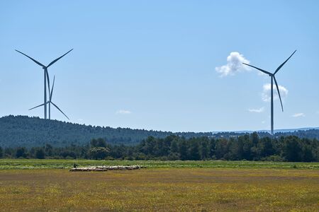 A herd of sheep near ecological windmills to generate electricity in a natural environmentの写真素材