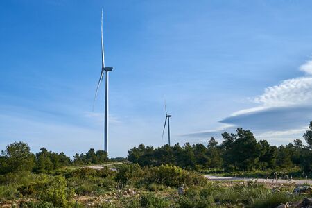 Beautiful image of the field with ecological windmills to generate electricity in a natural environmentの写真素材