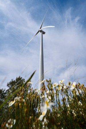Beautiful image with flowers in the field with ecological windmills to generate electricity in a natural environmentの写真素材