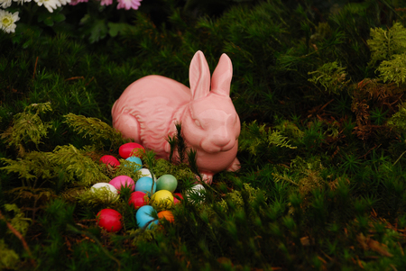 Easter bunny in the mossの写真素材